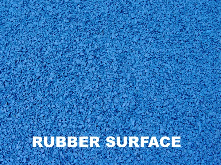12' Dog Walk with Rubber Surface