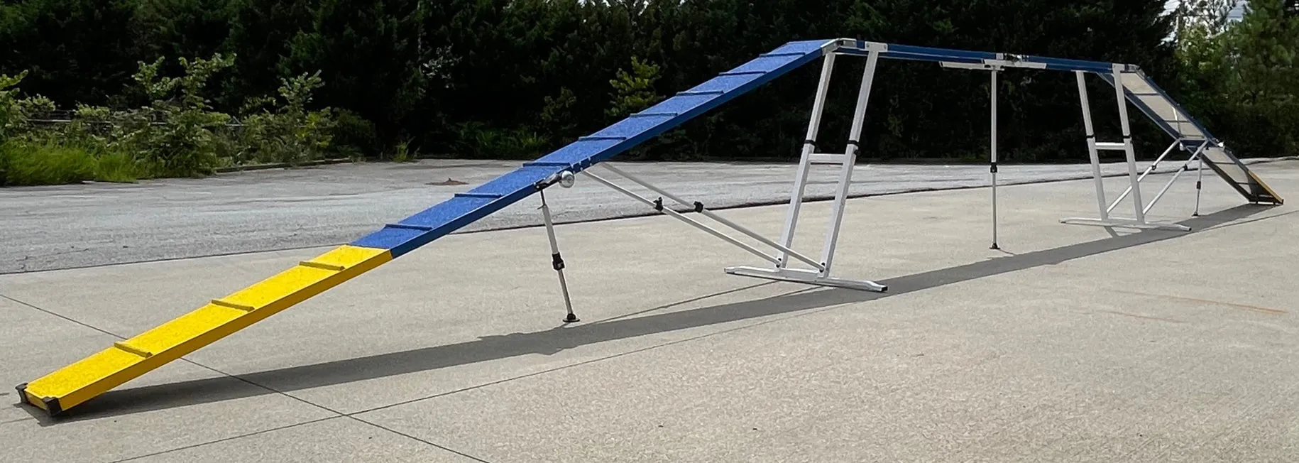 12' Dog Walk with Rubber Surface