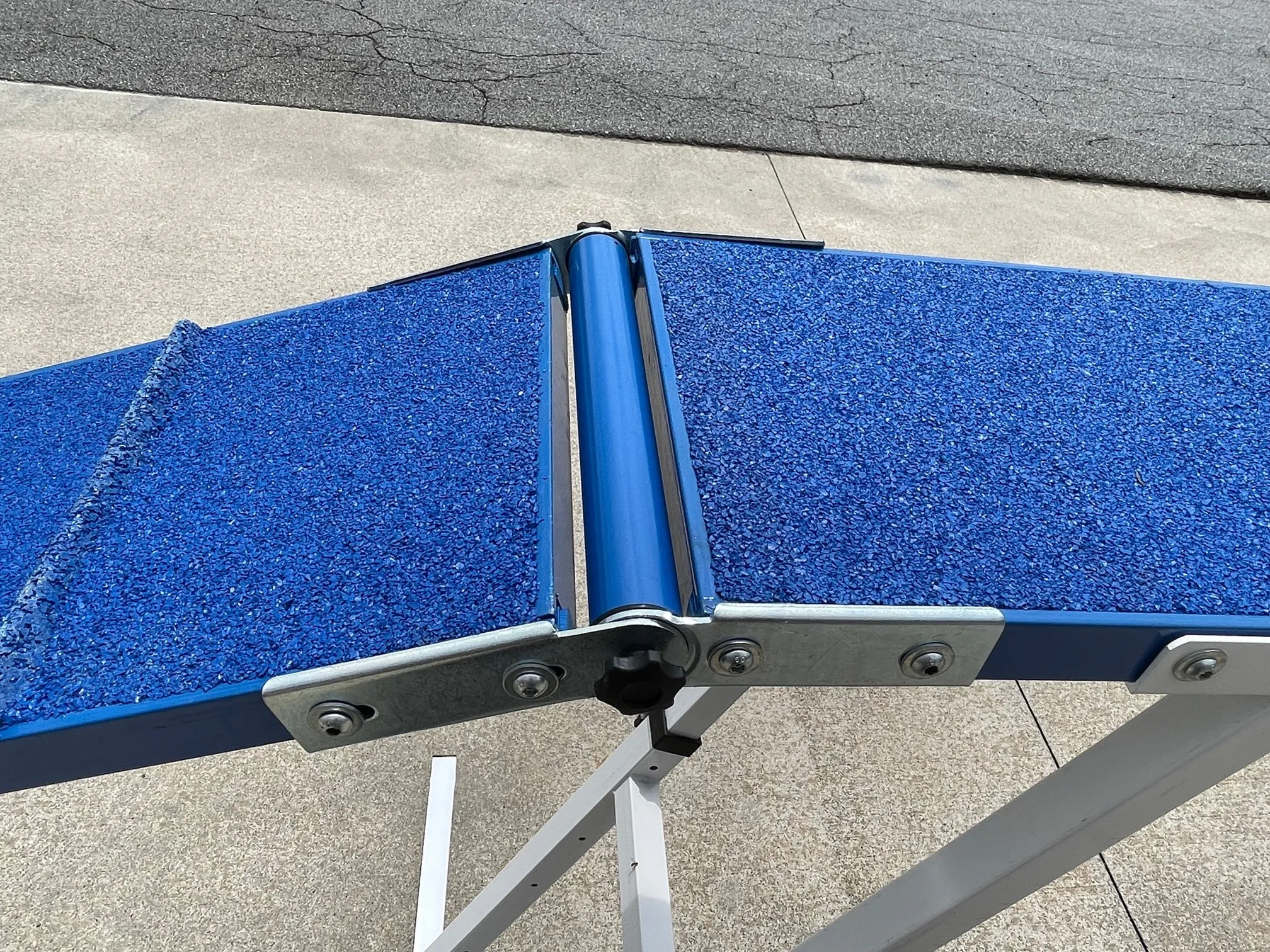 12' Dog Walk with Rubber Surface