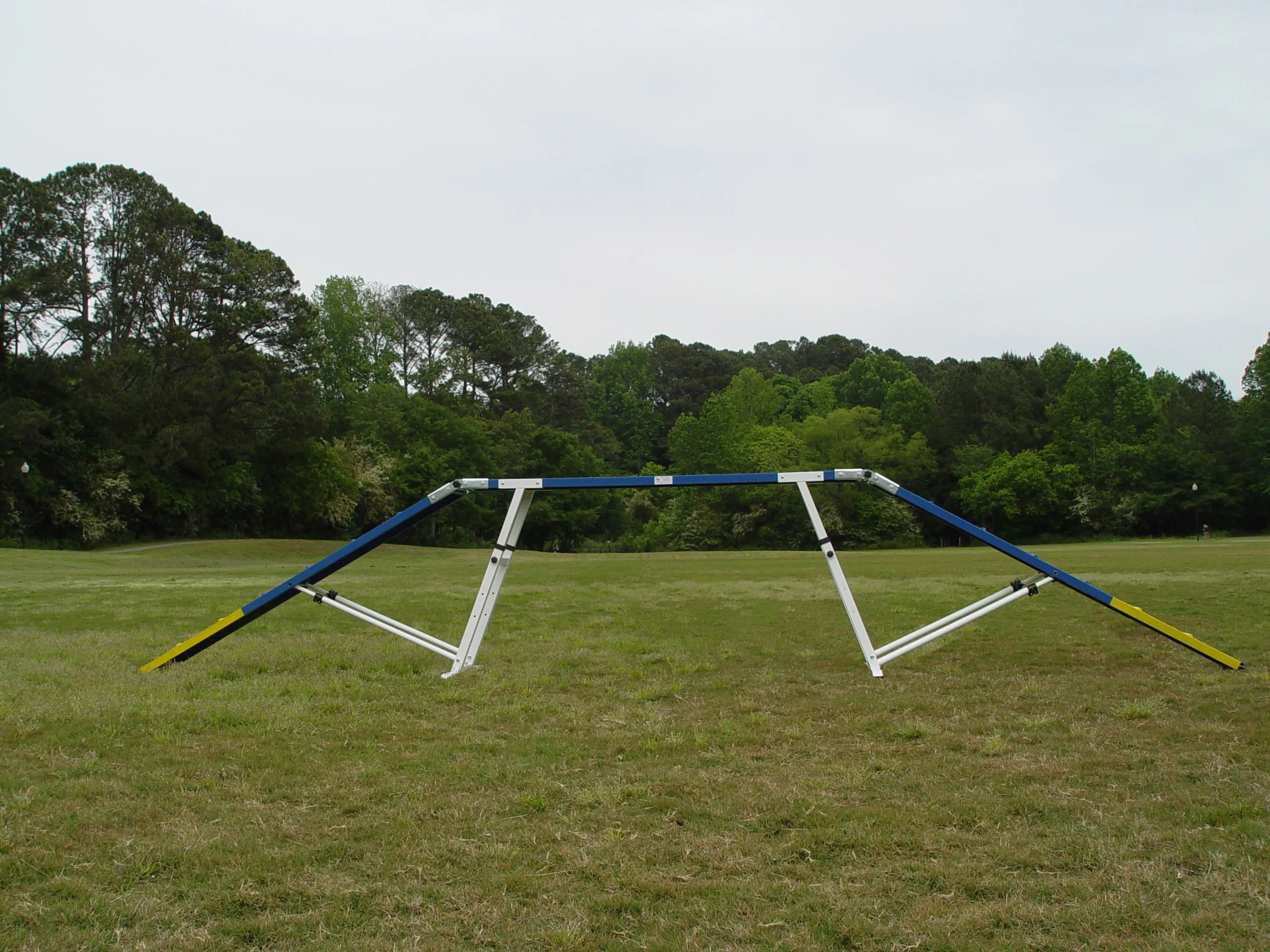 6' Dog Walk with Rubber Surface