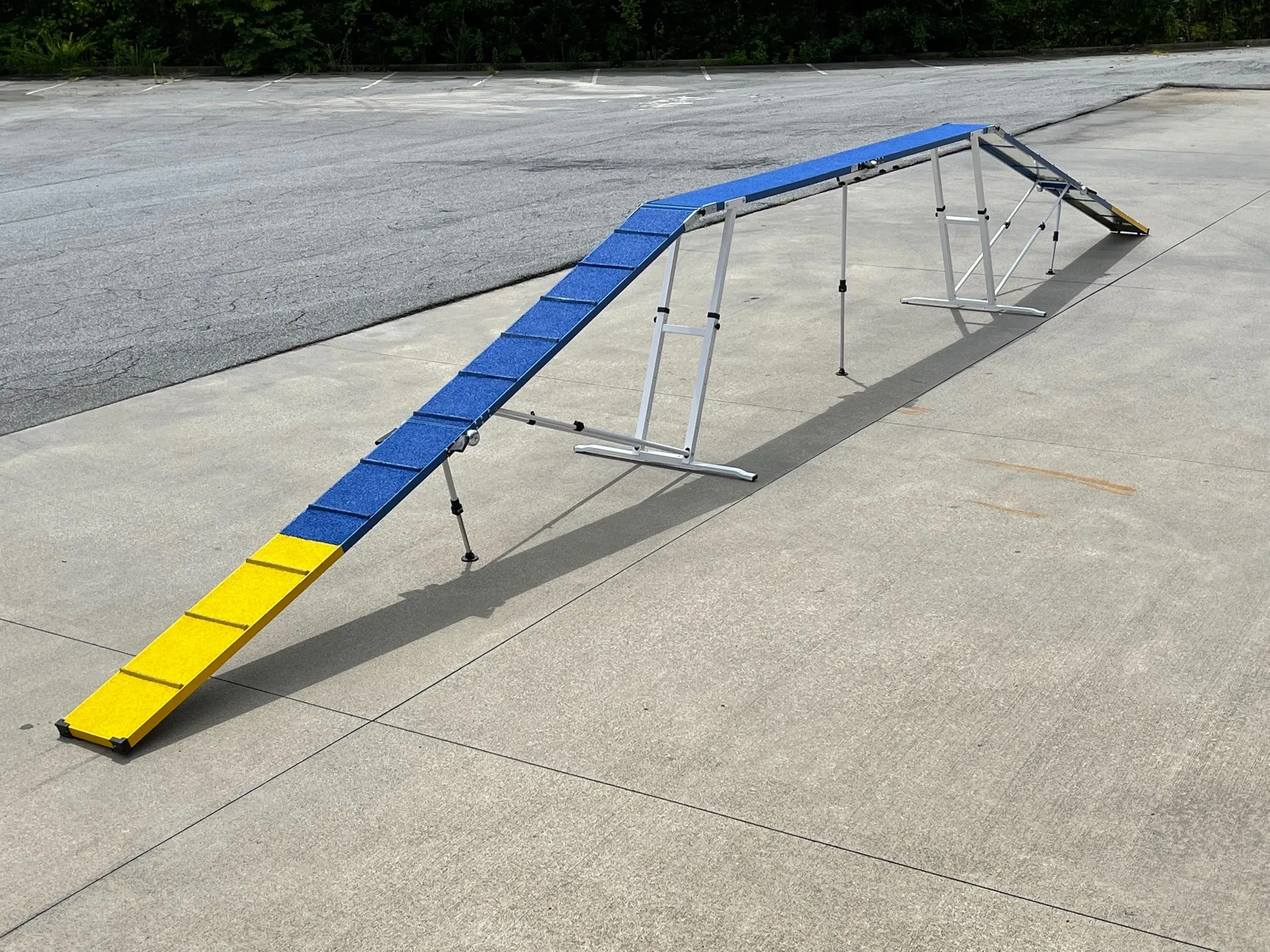 8' Dog Walk with Rubber Surface