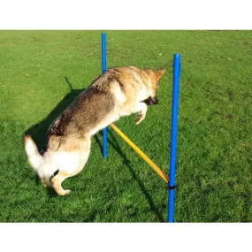 Agility Hurdle Jump