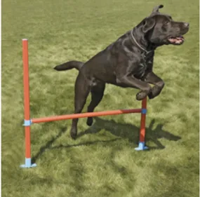 AGILITY HURDLE W/BAG