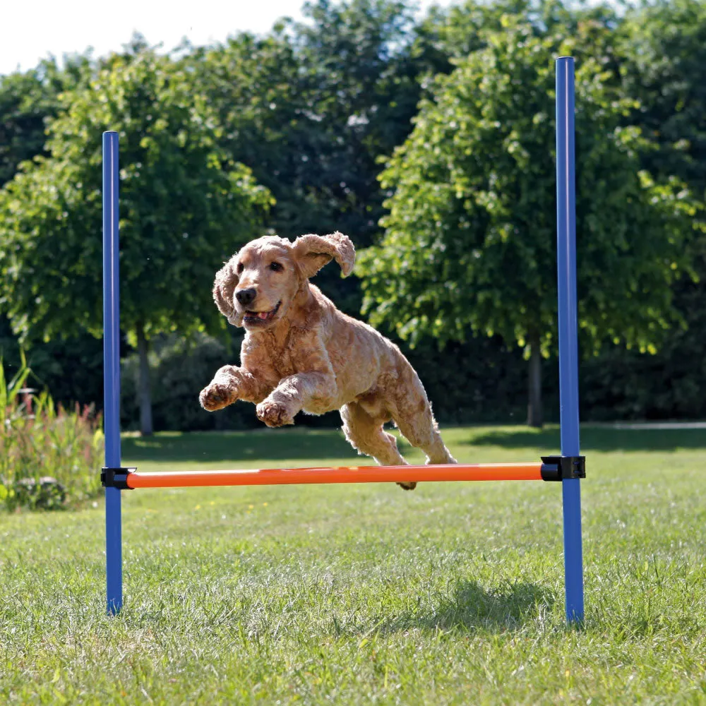 Agility Hurdle