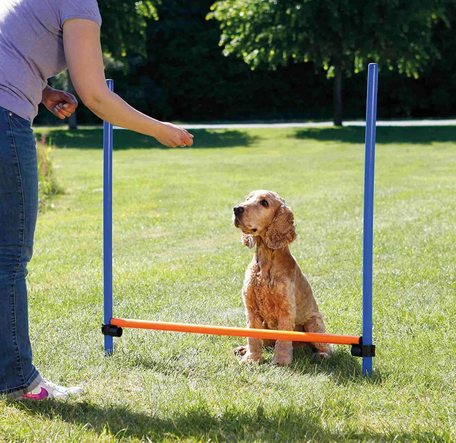 Agility Hurdle