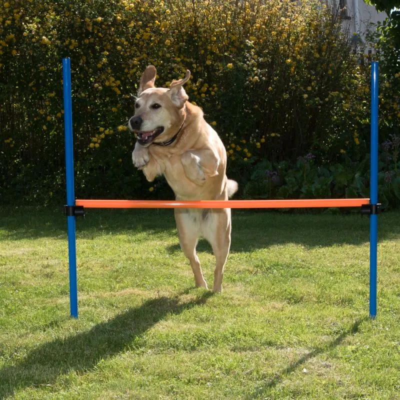 Agility Hurdle