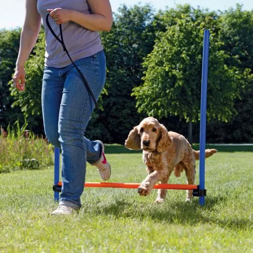 Agility Hurdle