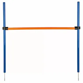 Agility Hurdle