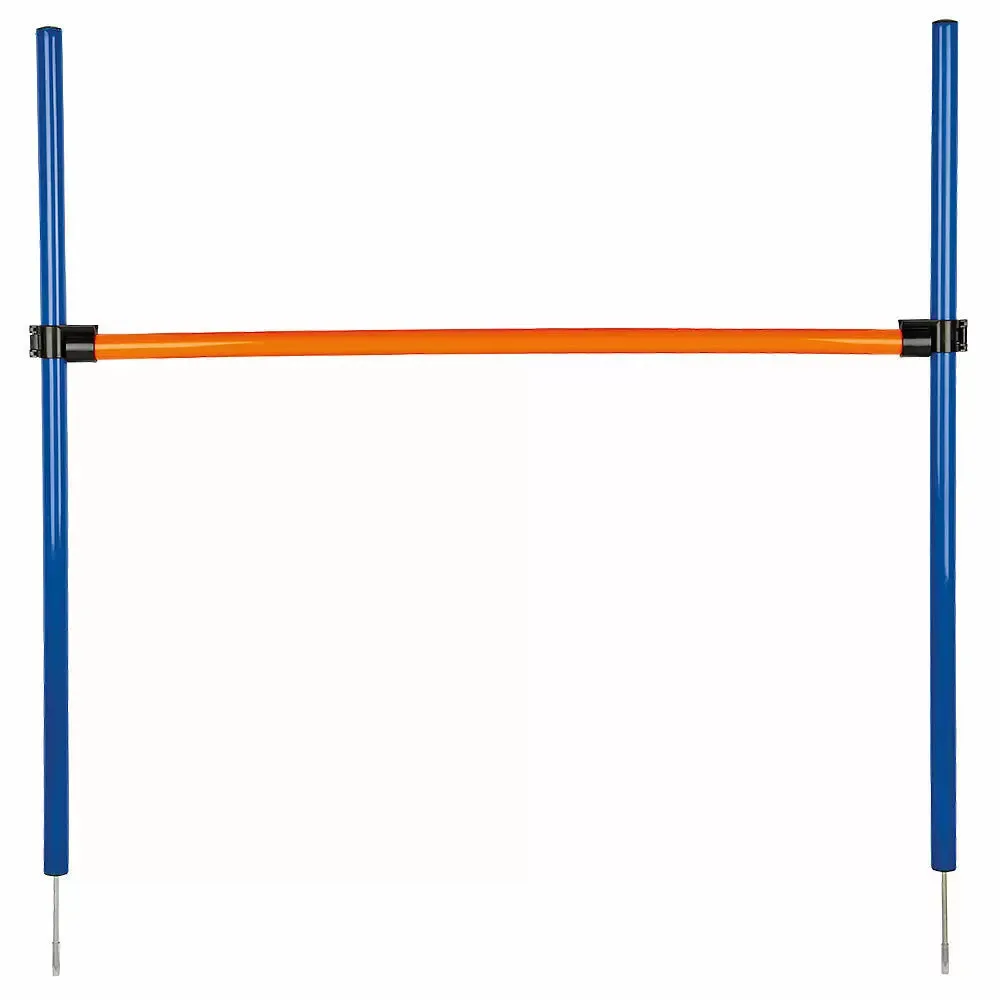 Agility Hurdle