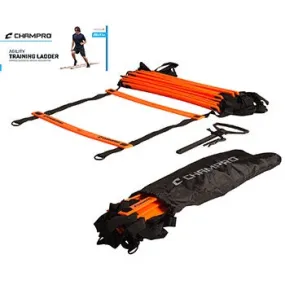 Agility Training Ladder