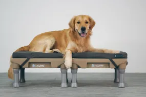 Blue-9 Restore  Double Dog Bed