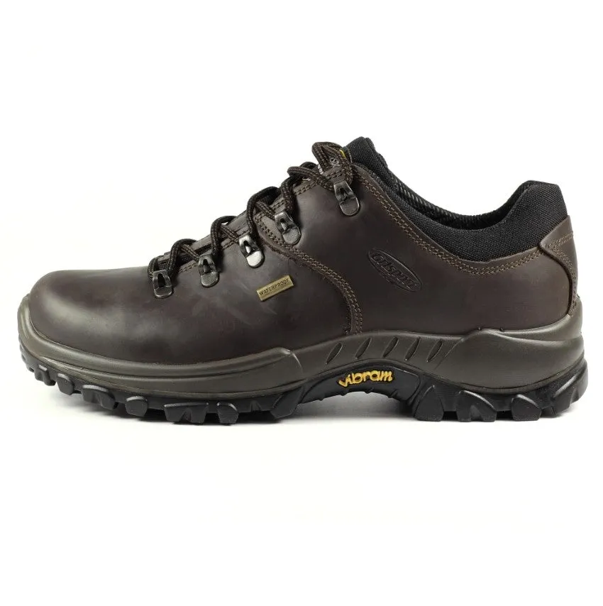 Dartmoor Walking Shoes