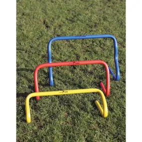 Precision Agility Hurdle